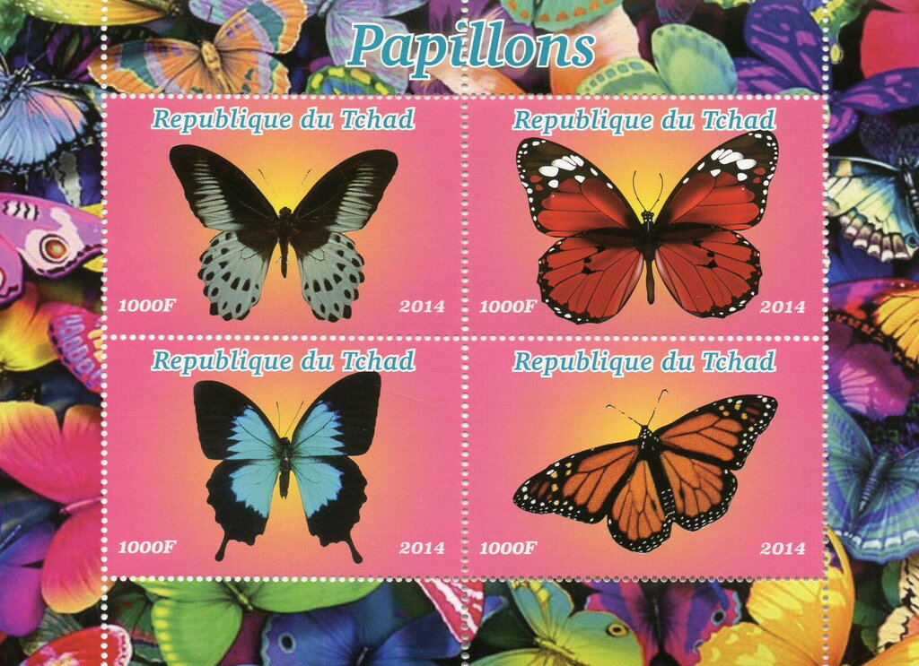 Butterflies