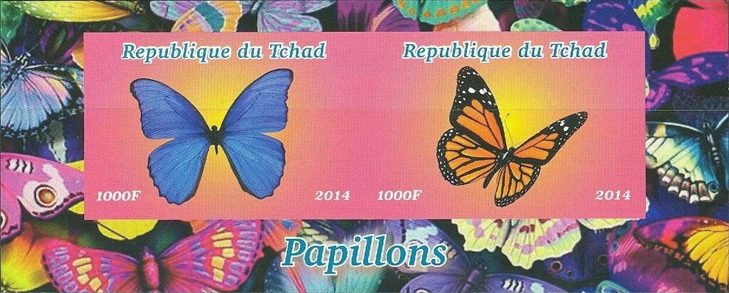 Butterflies