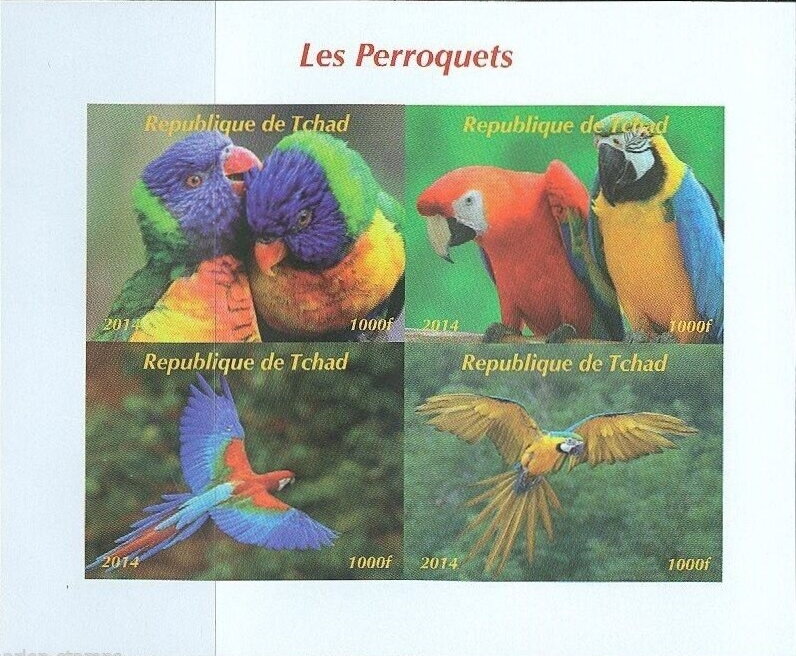 Parrots