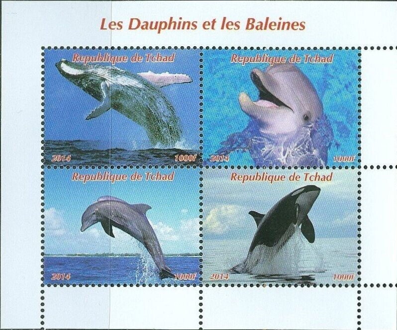 Whales and Dolphins