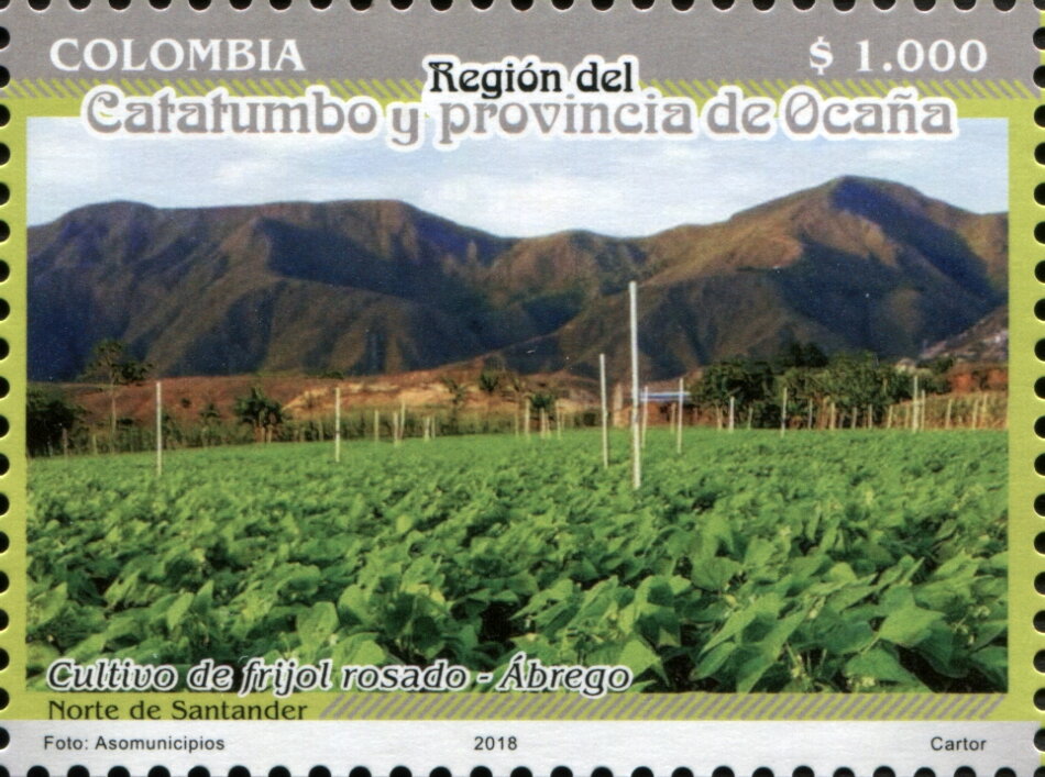 Kidney Bean (Phaseolus vulgaris)