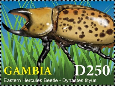 Stamp, Eastern Hercules Beetle ( Dynastes tityus), Gambia,  , Animals (Fauna), Beetles, Insects