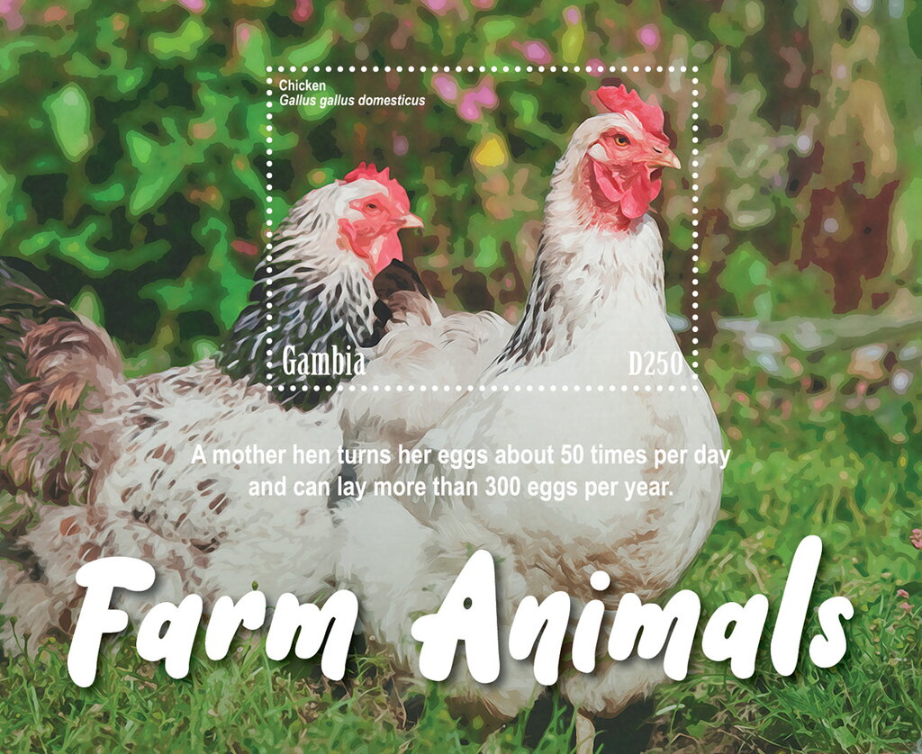 Farm Animals