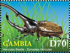 Stamp, Hercules Beetle (Dynastes hercules), Gambia,  , Animals (Fauna), Beetles, Insects
