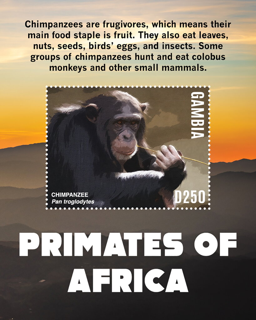 Primates of Africa