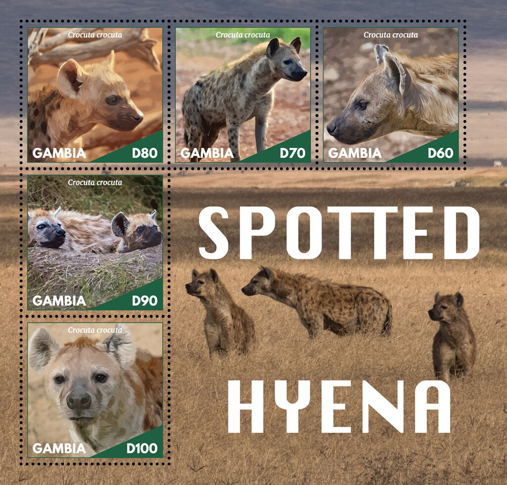 Spotted Hyena