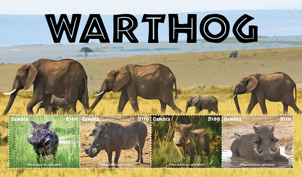 Warthog