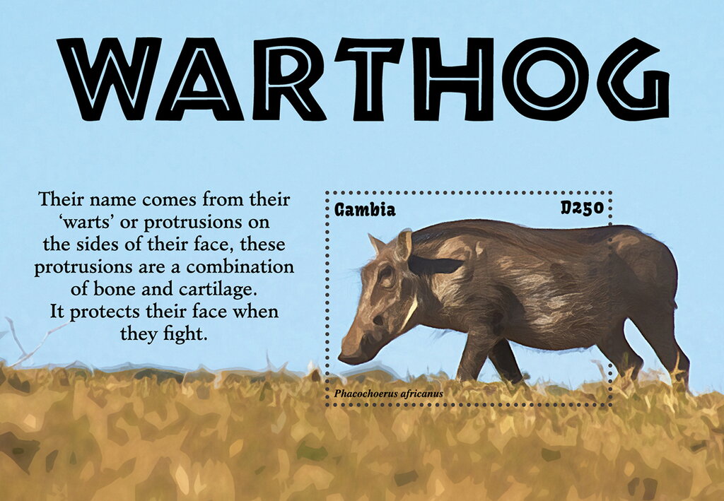 Warthog