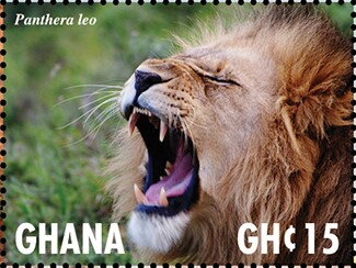 Stamp, Lion (Panthera leo), Ghana,  , Animals (Fauna), Лев, Mammals