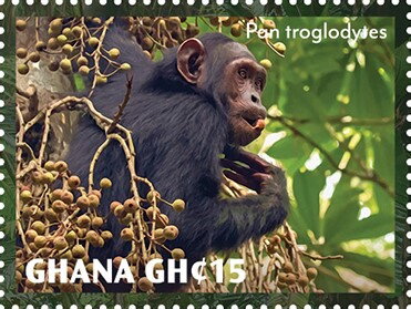 Stamp, Pan troglodytes, Ghana,  , Animals (Fauna), Apes, Mammals