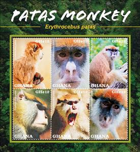 Mini Sheet, Patas Monkey (Erythrocebus patas), Ghana,  , Animals (Fauna), Mammals, Monkeys