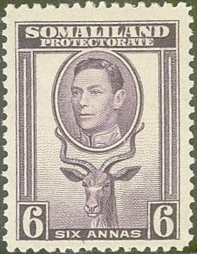 George VI, Lesser Kudu (Tragelaphus imberbis)