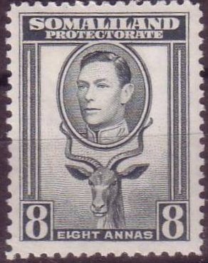 George VI, Lesser Kudu (Tragelaphus imberbis)