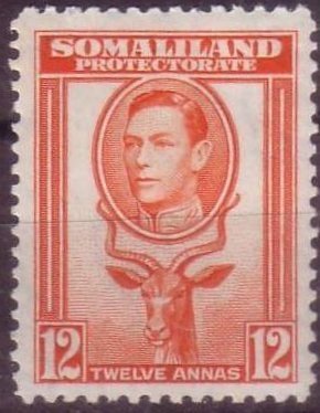 George VI, Lesser Kudu (Tragelaphus imberbis)