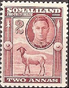 Stamp, George VI, Black-headed Somalisheep (Ovis orientalis aries), British colonies and territories,  , Mammals, Sheep, Kings, Animals (Fauna)