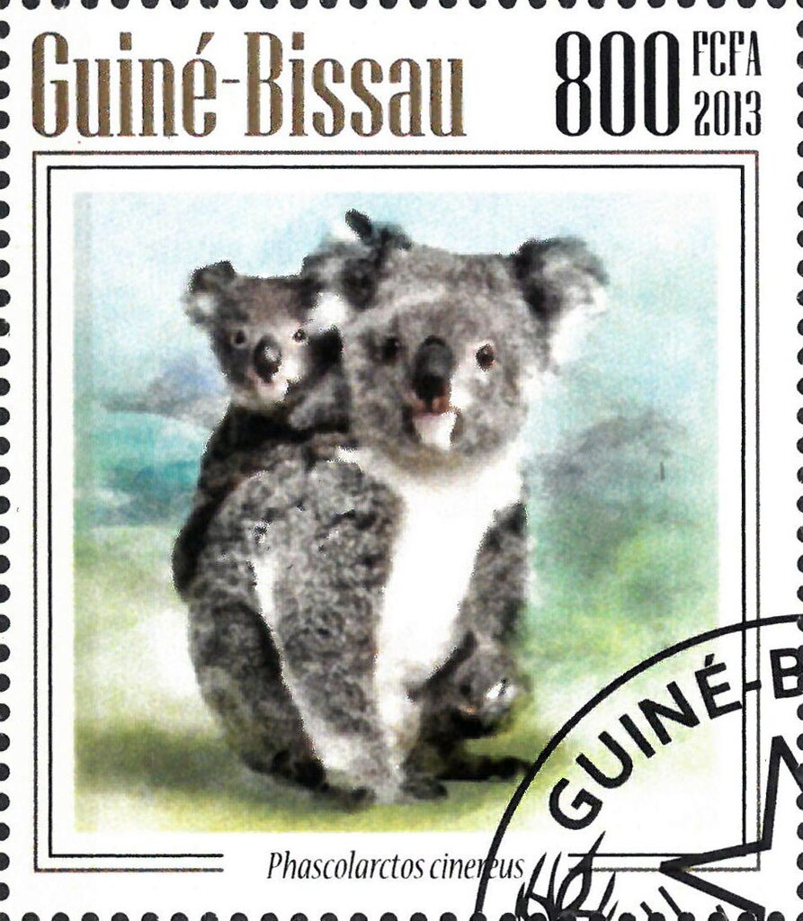 Koalas