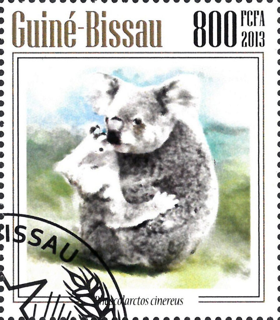 Koalas