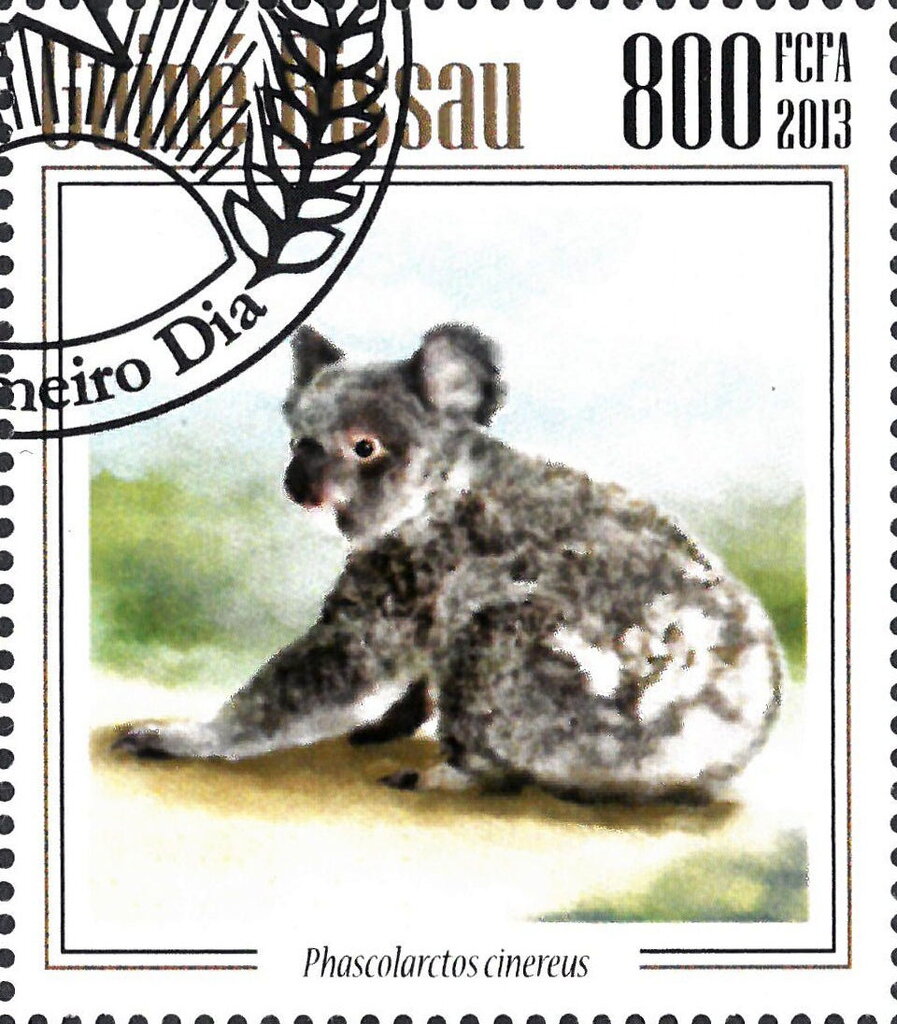 Koalas