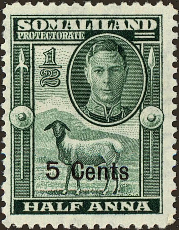 George VI, Black-headed Somalisheep (Ovis orientalis aries) 