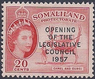 Camel with Load - Overprinted