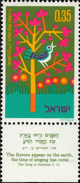 Bird in Tree