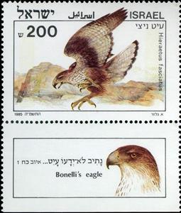 Stamp with Collectible Margin, Bonelli's Eagle (Hieraetus fasciatus), Israel,  , Animals (Fauna), Birds, Birds of Prey, Eagles