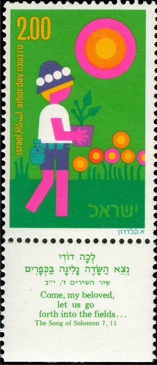 Child with Plant and Sun