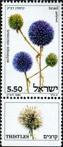 Stamp with Collectible Margin, Echinops viscosus, Israel,  , Flowers, Plants (Flora)