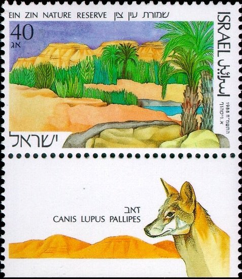 Ein Zin Nature Reserve