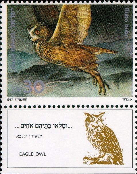 Eurasian Eagle-Owl (Bubo bubo)