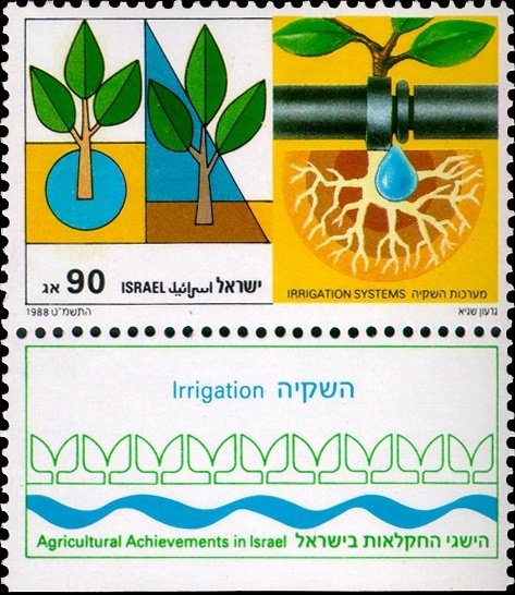 Plants and Drip-Pipe (Irrigation Systems)
