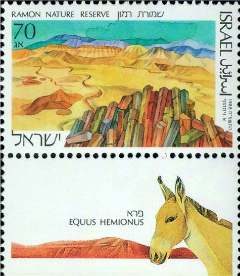 Ramon Nature Reserve