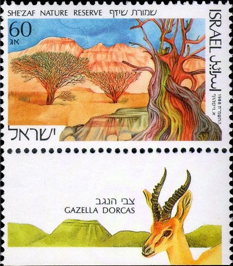 She Zaf Nature Reserve