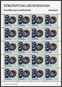 Full Pane, Ammonite, Liechtenstein,  , Fossils, Prehistorical Animals, Prehistory, Sea Life