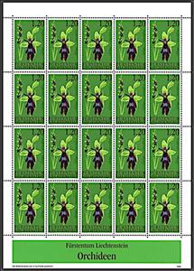 Full Pane, Fly Orchid (Ophrys insectifera), Liechtenstein,  , Flowers, Orchids, Plants (Flora)