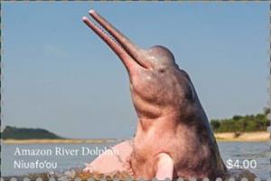 Stamp, Amazon River Dolphin, Niuafo'ou,  , Animals (Fauna), Dolphins, Sea (Marine) Mammals