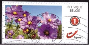 Stamp, Floral Beauty, Personalized and Private Mail Stamps,  , Flowers, Plants (Flora)