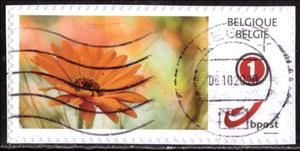 Stamp, Floral Beauty, Personalized and Private Mail Stamps,  , Flowers, Plants (Flora)