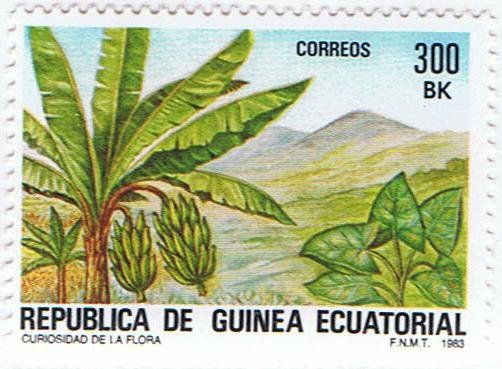 Curiosity of the flora