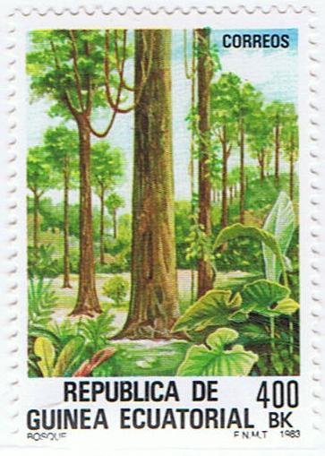 Forest