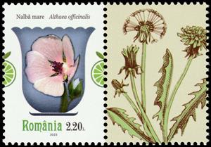 Stamp with Attached Label, Marsh Mallow (Althaea officinalis), Romania,  , Flowers, Plants (Flora)