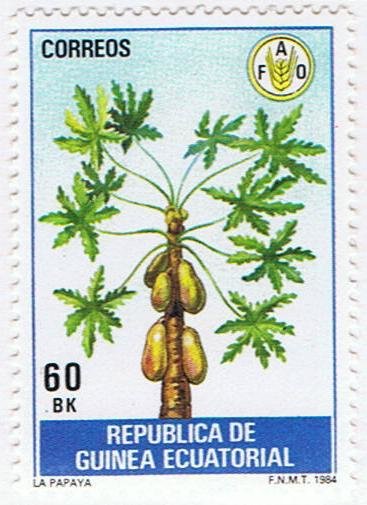 Papaya
