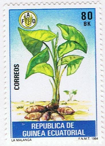 Malanga