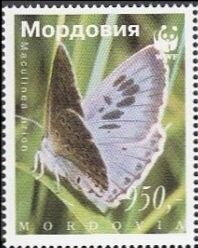 Butterflies WWF