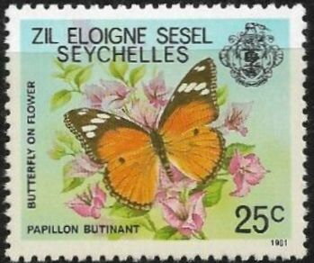 Danaid Eggfly (Hypolimnas misippus) - 1981