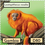 Stamp, Leotopithecus rosalia, Gambia,  , Animals (Fauna), Mammals, Monkeys