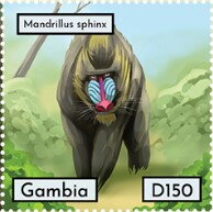 Mandrillus sphinx