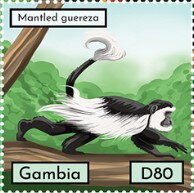 Mantled guereza