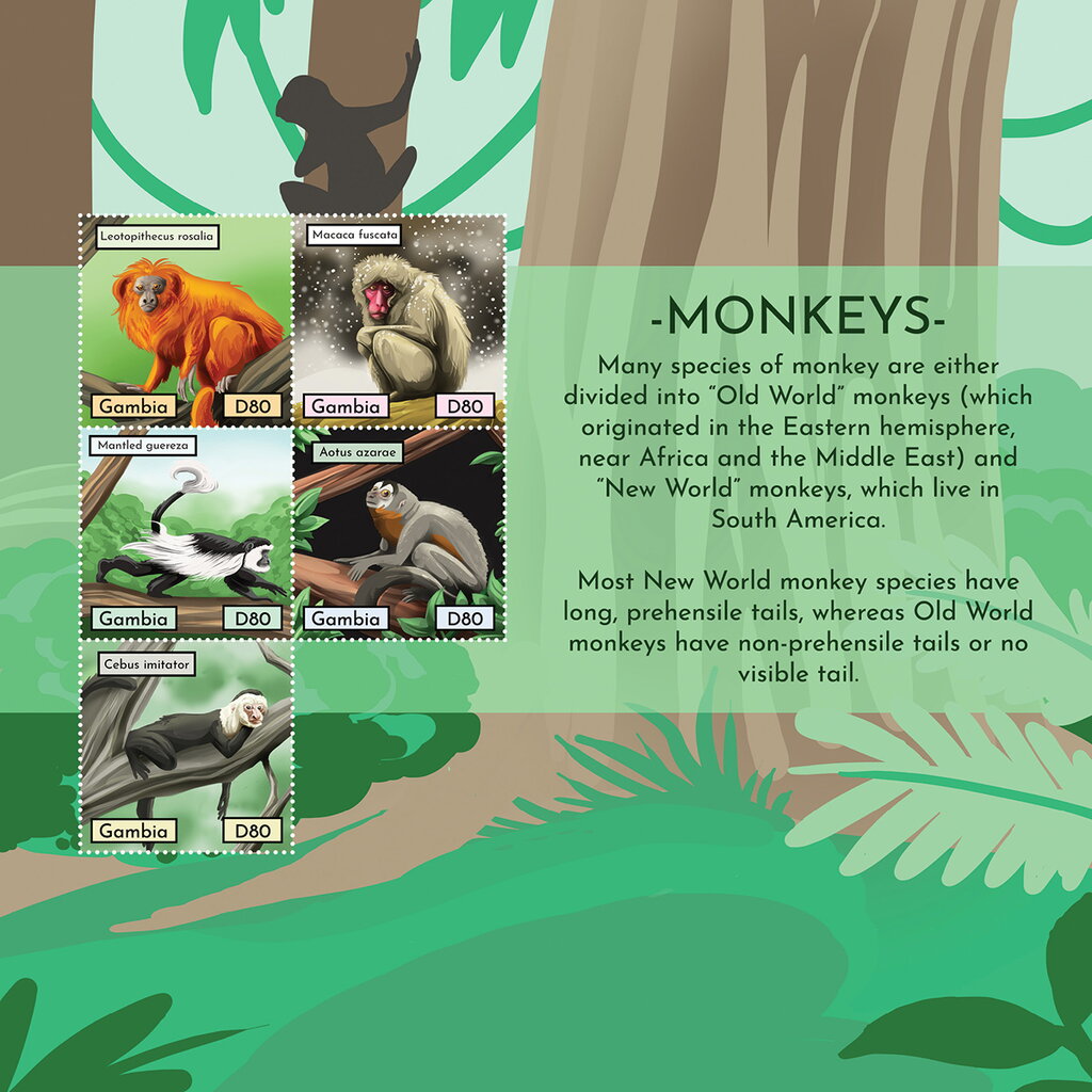 Monkeys