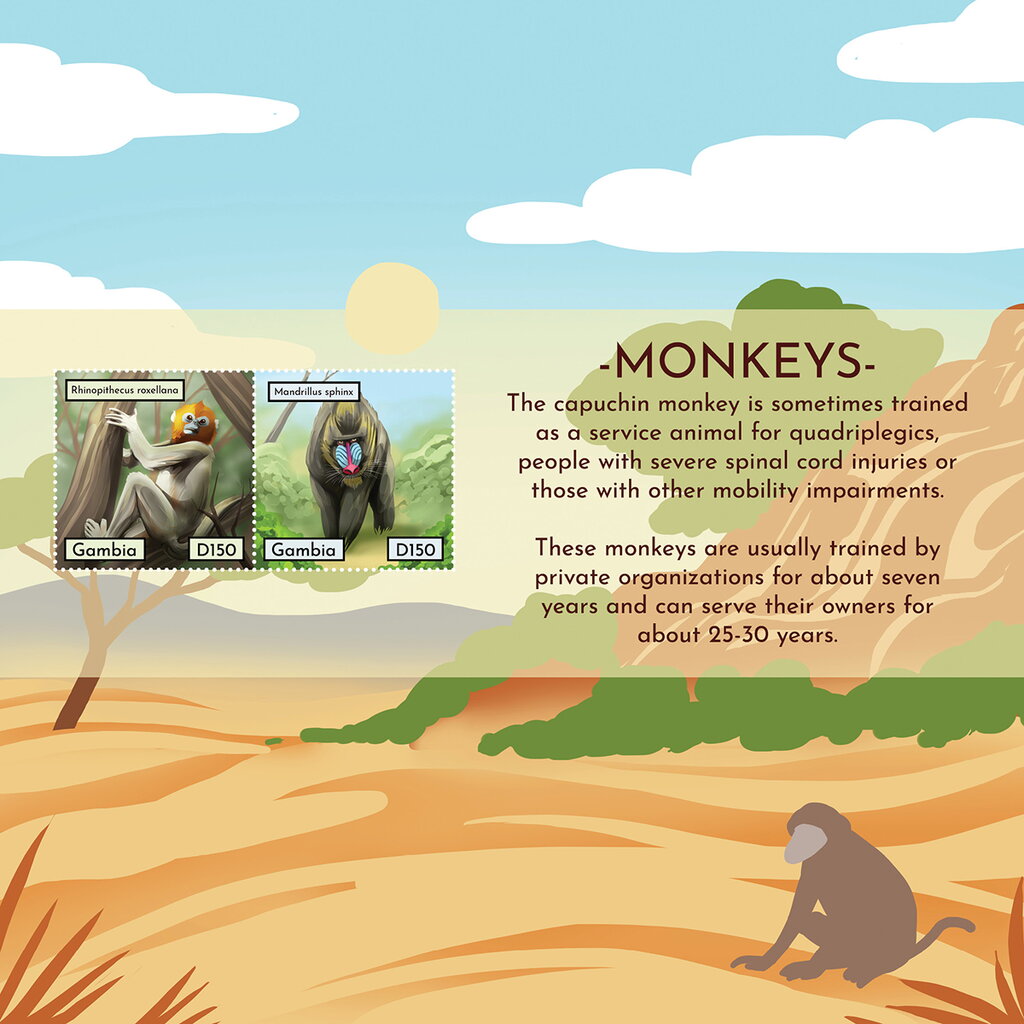 Monkeys